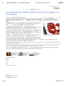 Los arándanos rojos pueden evitar que la `E.coli` se adhiera a las