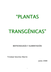 plantas transgénicas
