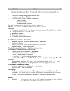 Circulación y Respiración: Transporte Interno e Intercambio de Gases