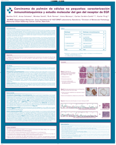 Carcinoma de pulmón de células no pequeñas: caracterización