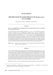 NOTA TÉCNICA IDENTIFICACIÓN DE LA RAZA XXII (V5