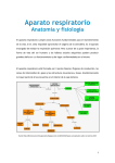 Aparato respiratorio