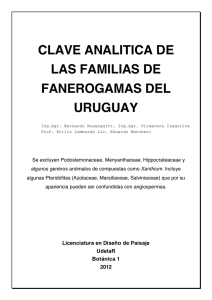clave analitica de las familias de fanerogamas del uruguay