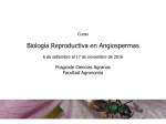 Biología Reproductiva en Angiospermas