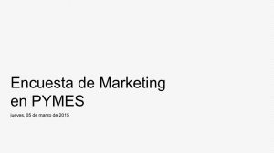 Encuesta de Marketing en PYMES