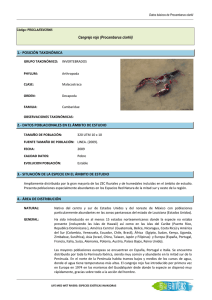 Cangrejo rojo (Procambarus clarkii)
