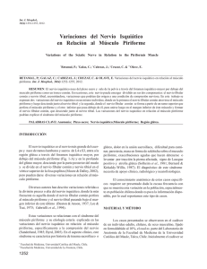 Variaciones del Nervio Isquiático en Relación al Músculo Piriforme