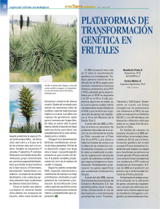 plataformas de transformación genética en frutales