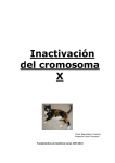 Inactivación del cromosoma X