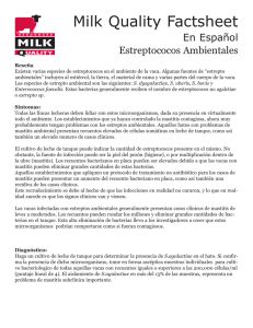 Estreptococos ambientales