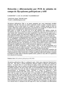 Descargar Pdf - AECA