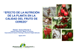 Efecto de la nutrición de la planta en la calidad del fruto de cerezo