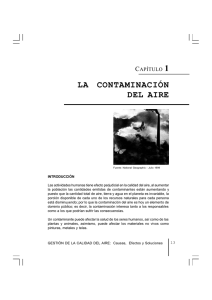 la contaminación del aire