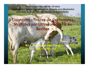 diagn&oacute;stico precoz de gestaciones m&uacute;ltiples por