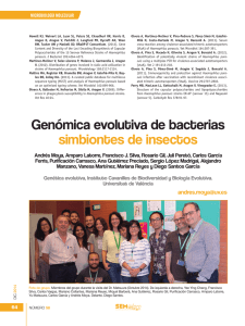 Gen&oacute;mica evolutiva de bacterias simbiontes de insectos