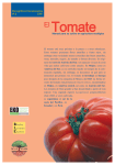 Tomate - Eneek