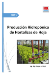 Producción Hidropónica de hortalizas de hoja