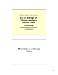 Microscopía y Morfología Celular