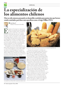 La especialización de los alimentos chilenos
