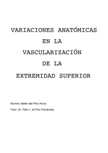 variaciones anatómicas en la vascularización de la