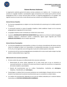 Sistema Nervioso Autónomo