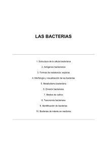 2 Las Bacterias