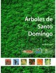 Árboles de Santo Domingo - Ayuntamiento del Distrito Nacional