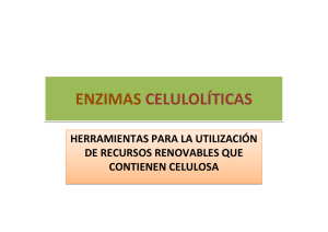 enzimas celulolíticas enzimas celulolíticas
