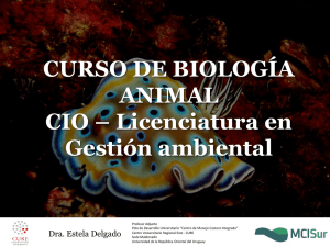 Diapositiva 1 - Eva - Universidad de la República