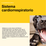 Sistema cardiorrespiratorio