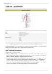 Aparato circulatorio