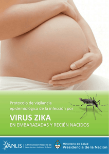 Protocolo ZIKA