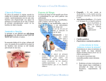 Cancer de Prostata - Liga Contra el Cancer