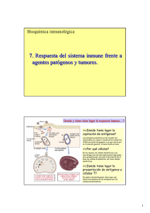 7. Respuesta del sistema inmune frente a agentes patógenos y