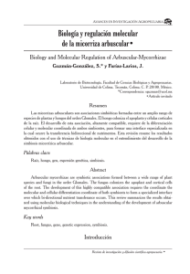 Biología y regulación molecular de la micorriza arbuscular•
