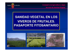 sanidad vegetal en los viveros de frutales. pasaporte