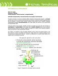 Control nervioso y comportamiento Actividad