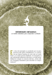 Descargar el archivo PDF - Revistas Unisalle