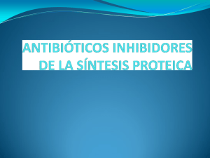 antibióticos inhibidores de síntesis de proteínas