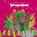 Bromelias - México el país de las maravillas