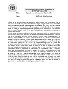 Título: Mecanismos de Control del Ciclo Celular Autor: MICP Raúl
