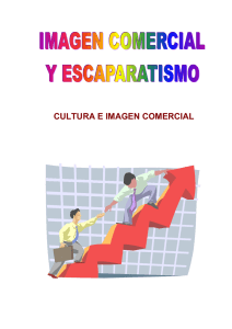 Imagen comercial y Escaparatismo - FSI