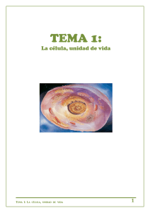 La célula - IES La Loma