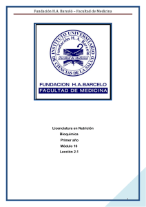 Fundación H.A. Barceló – Facultad de Medicina