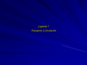 Capítulo 7