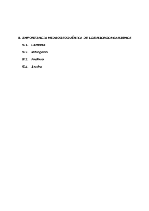 Importancia hidrogeoquímica de los microorganismos