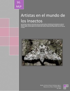 Artistas en el mundo de los Insectos - Museo de La Plata