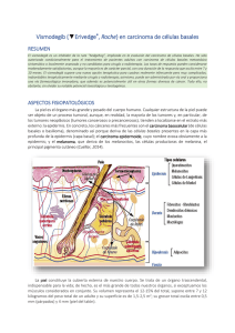 en carcinoma de células basales - BOT Plus