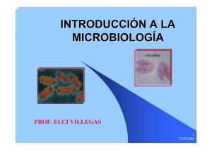 introducción a la microbiología