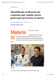 Identificado el director de orquesta que regula